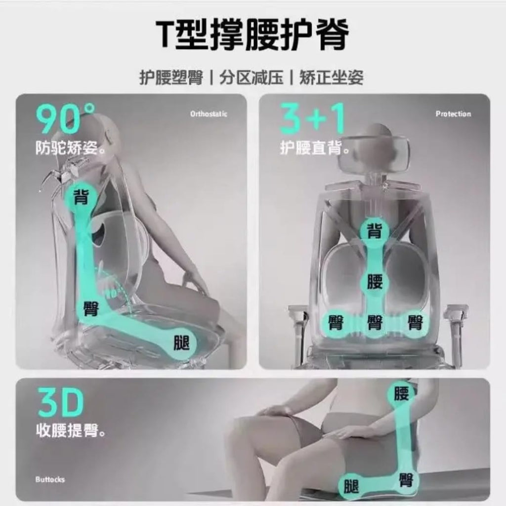 كرسي بلاستيك لتجليس فقرات الظهر مع قاعدة وظهر إسفنج
Folding Back Support Seat with Foam Base and Backrest
