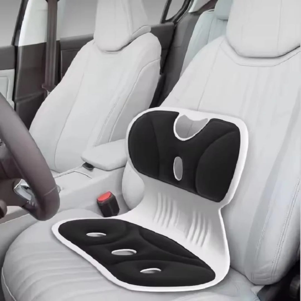 كرسي بلاستيك لتجليس فقرات الظهر مع قاعدة وظهر إسفنج
Folding Back Support Seat with Foam Base and Backrest