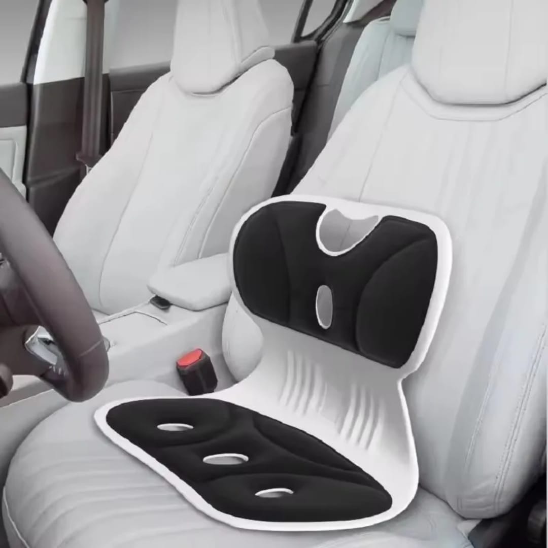 كرسي بلاستيك لتجليس فقرات الظهر مع قاعدة وظهر إسفنج
Folding Back Support Seat with Foam Base and Backrest